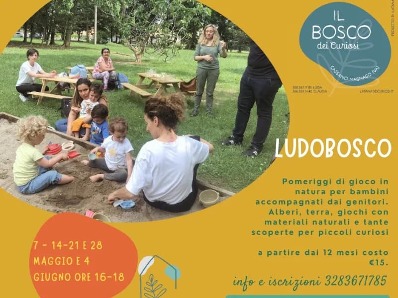 Locandina: Ludobosco - Cassano Magnago