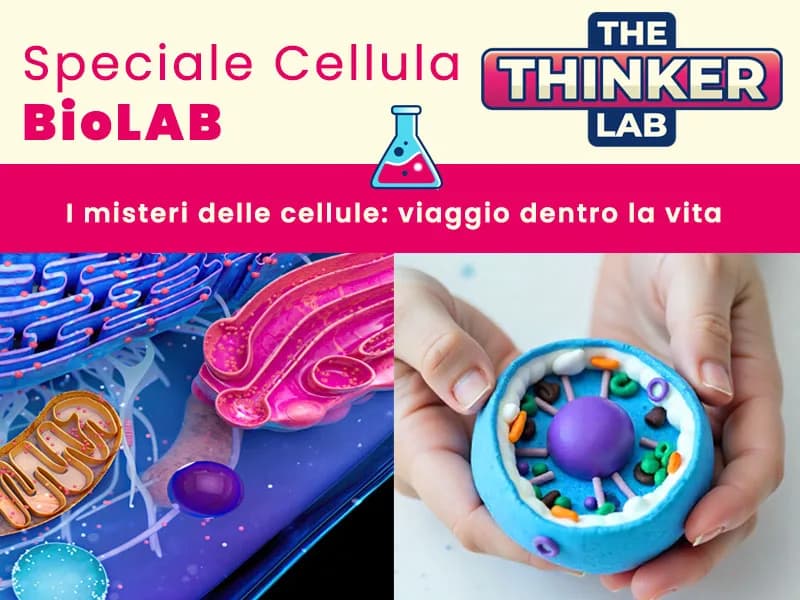 Locandina: I misteri delle cellule || The Thinker Lab, Varese