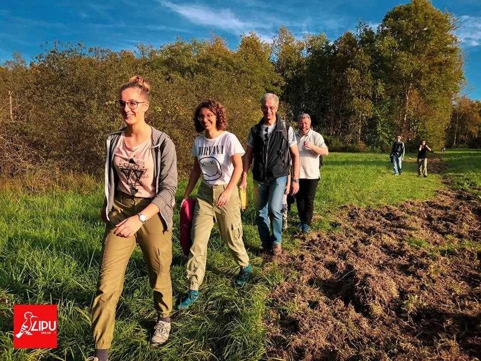 Locandina: PASSEGGIATA in OASI - Palude Brabbia