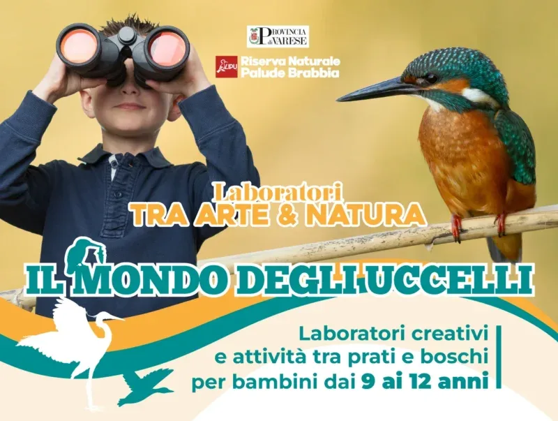 Locandina: Laboratori tra arte e natura - Palude Brabbia