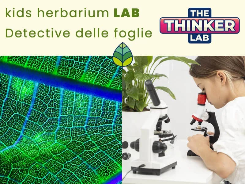 Locandina: Herbarium || The Thinker Lab, Varese