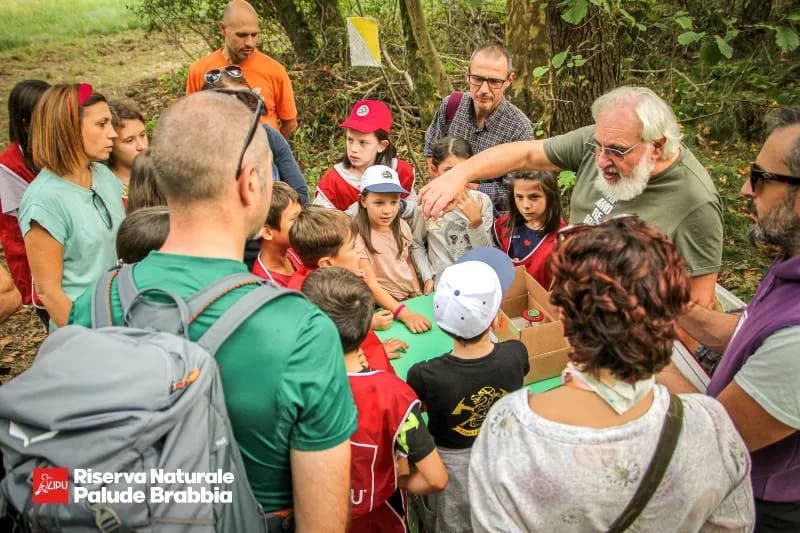 Locandina: Caccia al tesoro alla Palude Brabbia