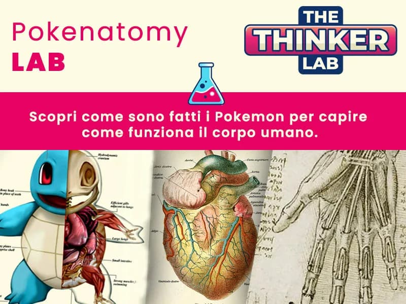 Locandina: TheThinkerLab: Pokenatomy LAB