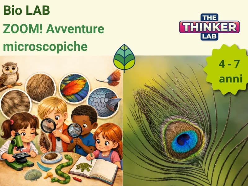 Locandina: BioLAB: Zoom! Avventure microscopiche a Varese || The Thinker Lab