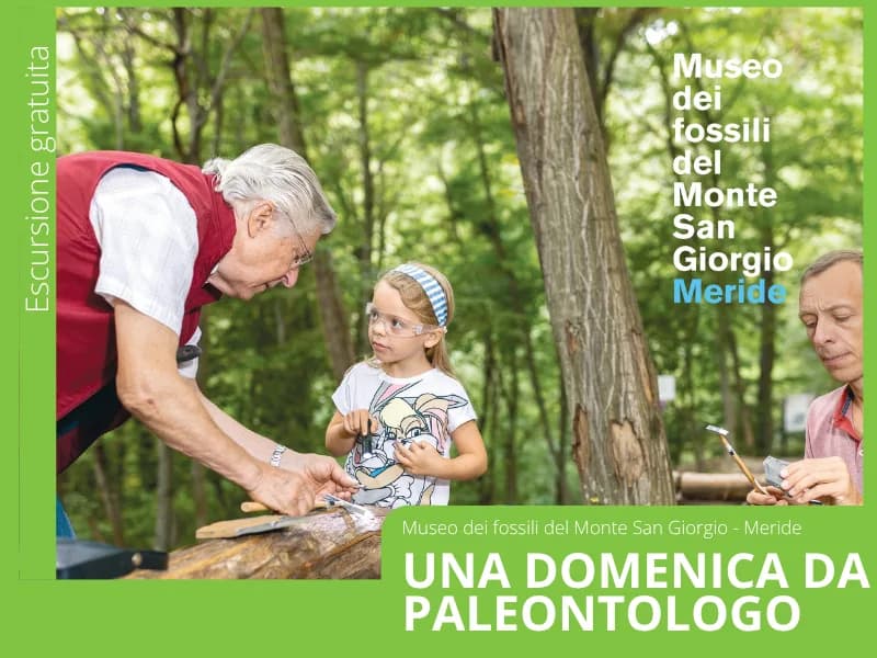 Locandina: Domenica da Paleontologo || Monte San Giorgio (CH)