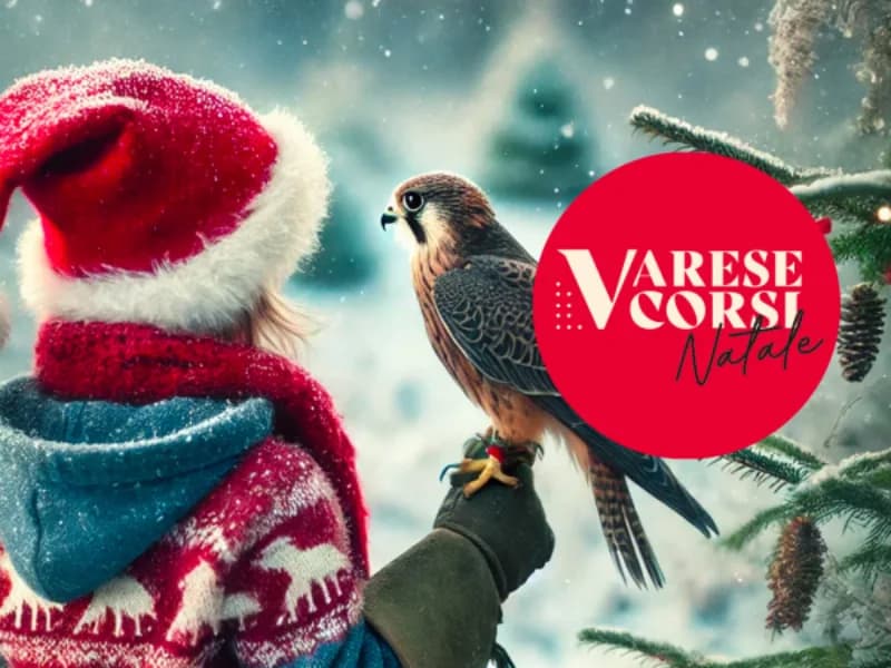 Locandina: Arte e Falconeria || Varese