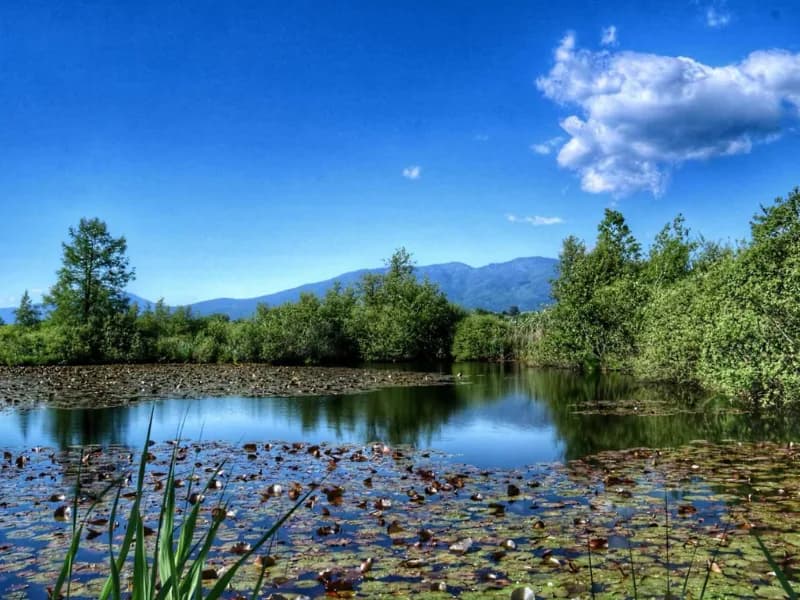Locandina: Pasquetta in Oasi || Palude Brabbia, Inarzo