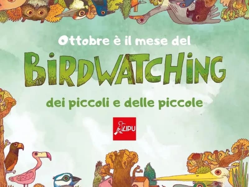 Locandina: Birdwatching dei Piccoli || Palude Brabbia