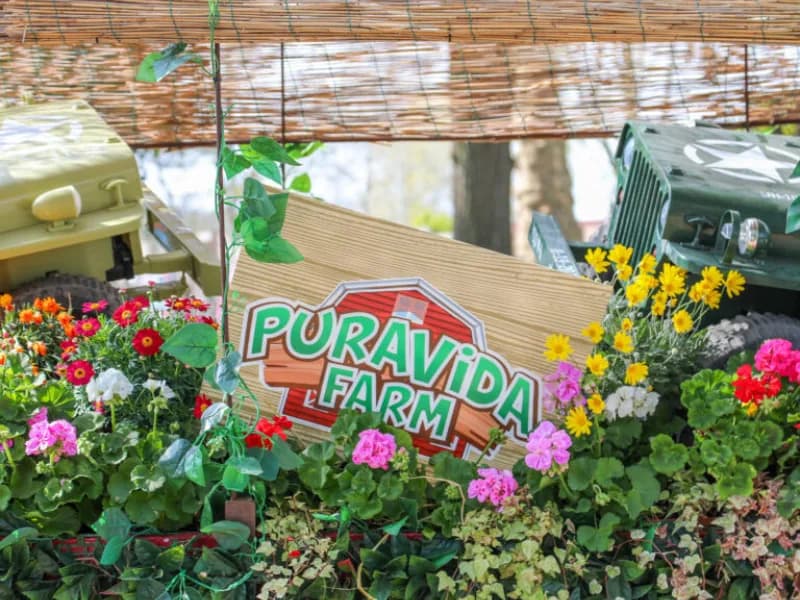 Locandina: Il Villaggio delle Uova e dei Fiori - Pavia