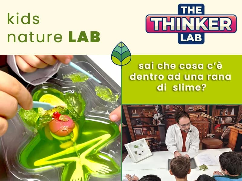 Locandina: Alla scoperta della rana! || The Thinker Lab, Varese