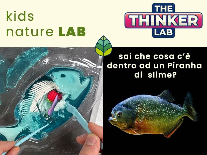 Locandina: Alla scoperta del piranha! || The Thinker Lab, Varese
