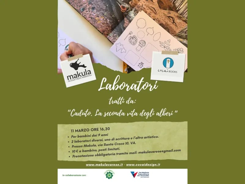 Locandina: Caduto. La seconda vita degli alberi || Varese